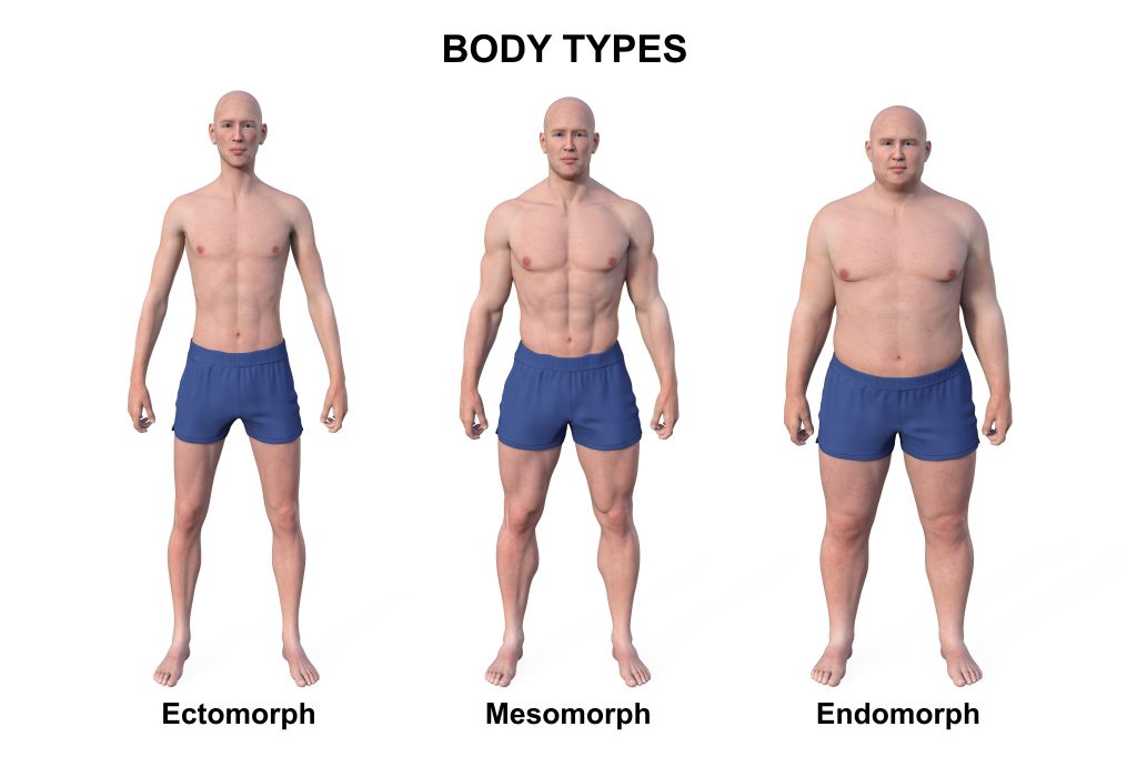 metabolic body type
