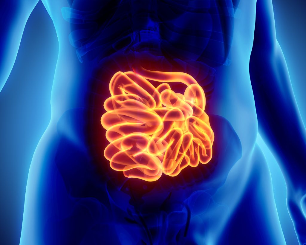 Intestinal inflammation