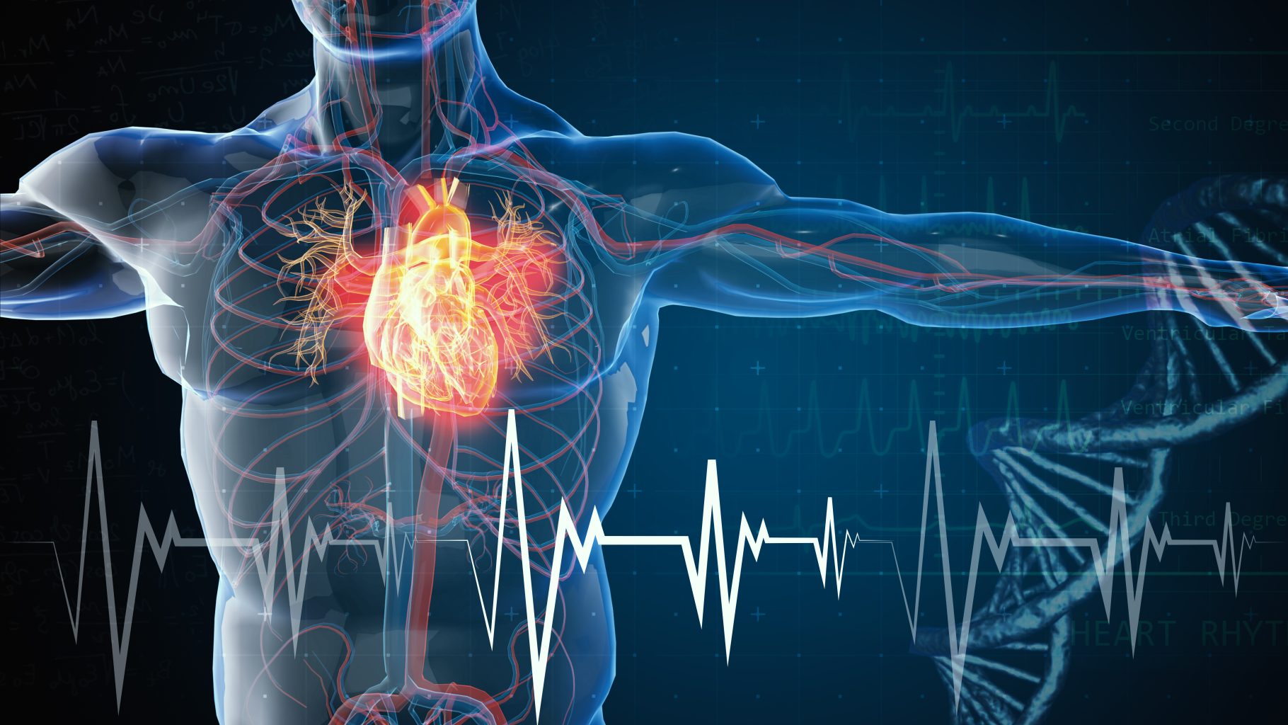 Heart health concept 