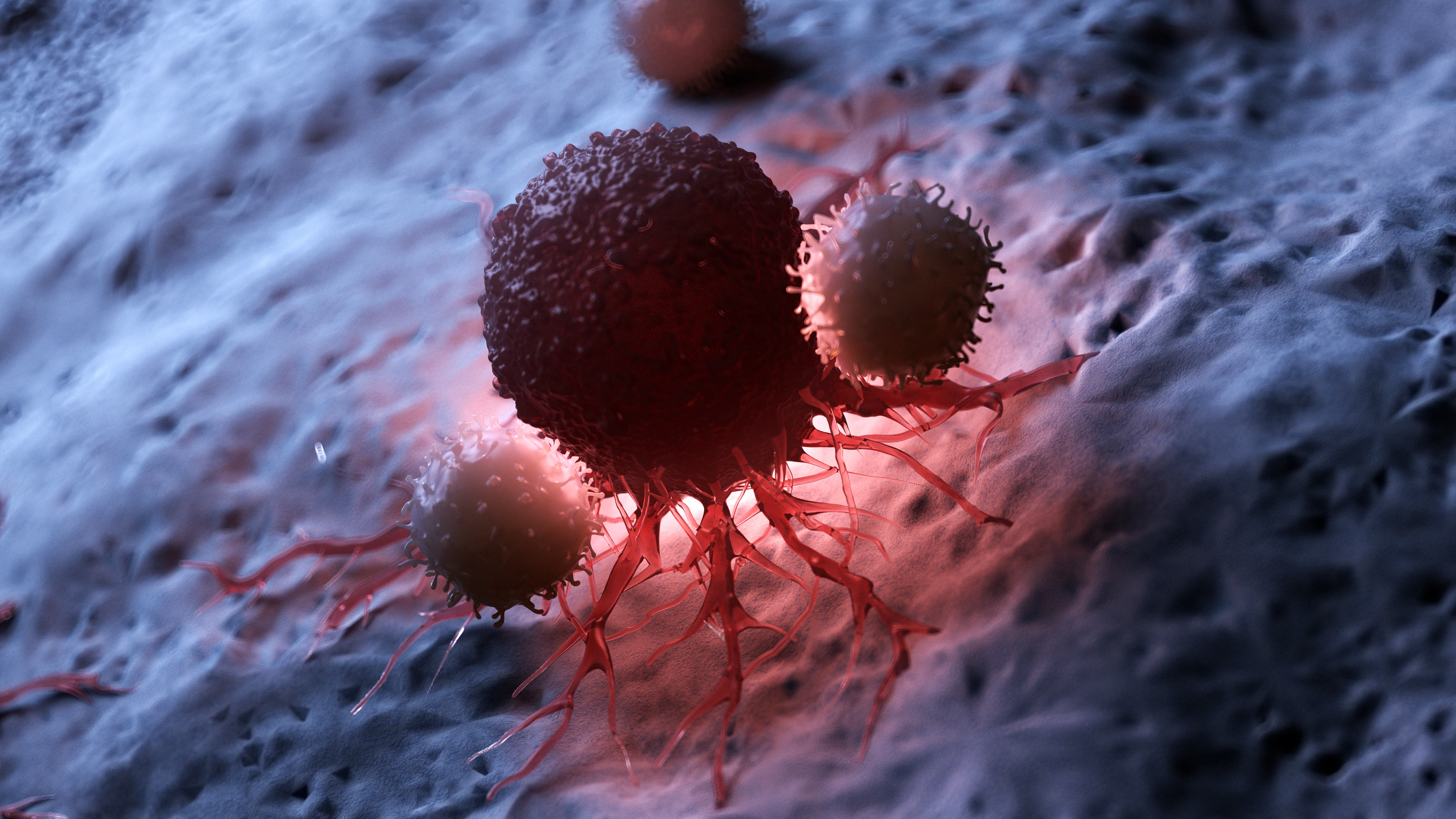 Immune response illustration