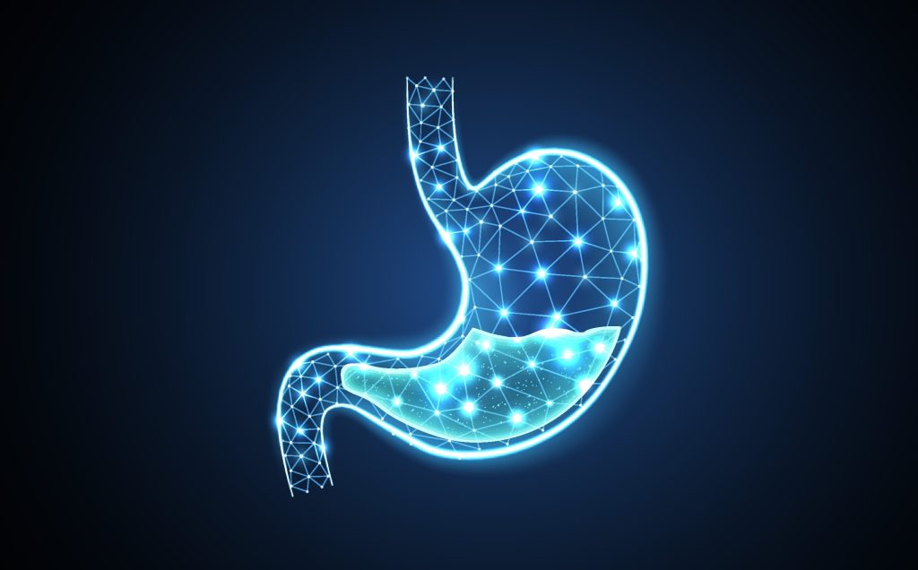 Stomach acid illustration 