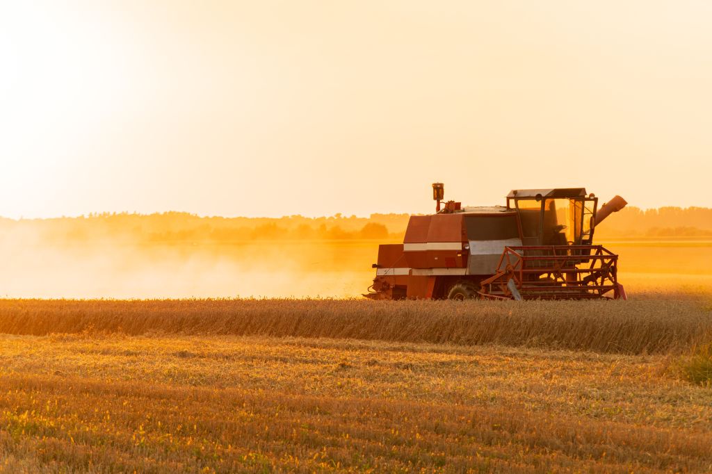Industrial farming