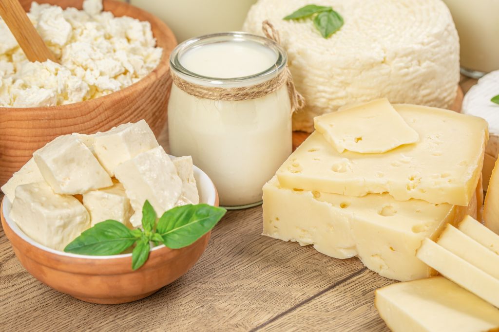 Selection of fermented dairy products