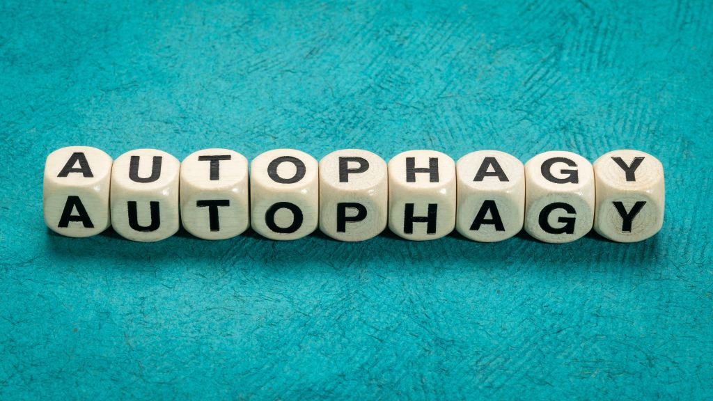 Word autophagy in cubes