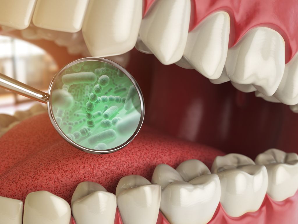 Oral microbiota illustration