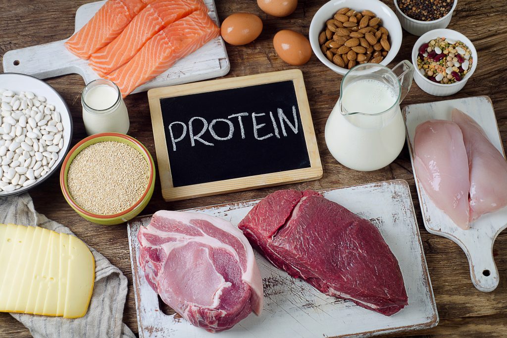High protein foods