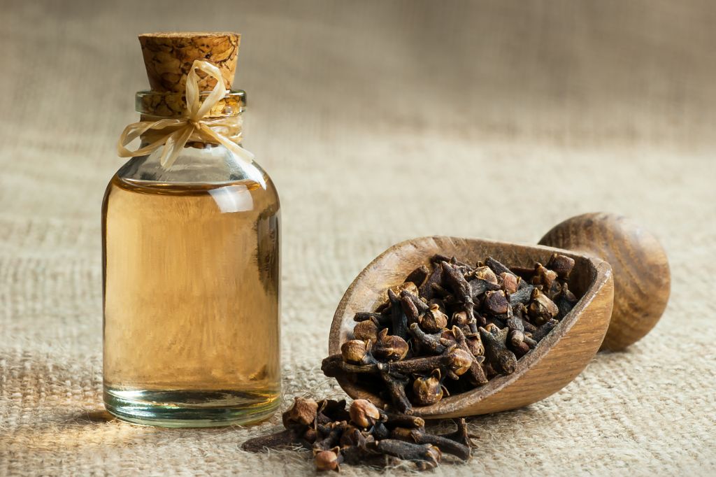 Clove oil in bottle 
