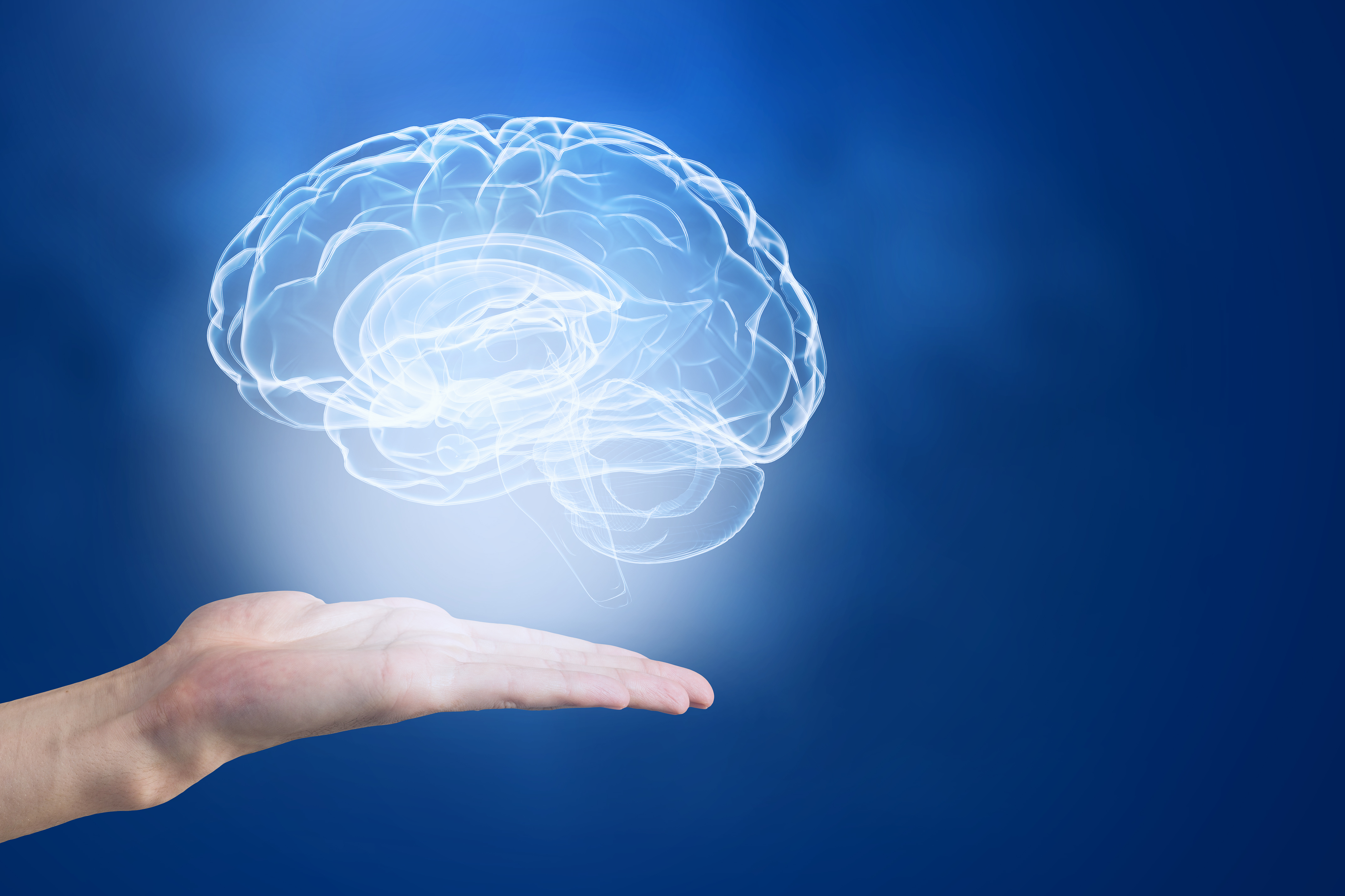 Brain illustration  