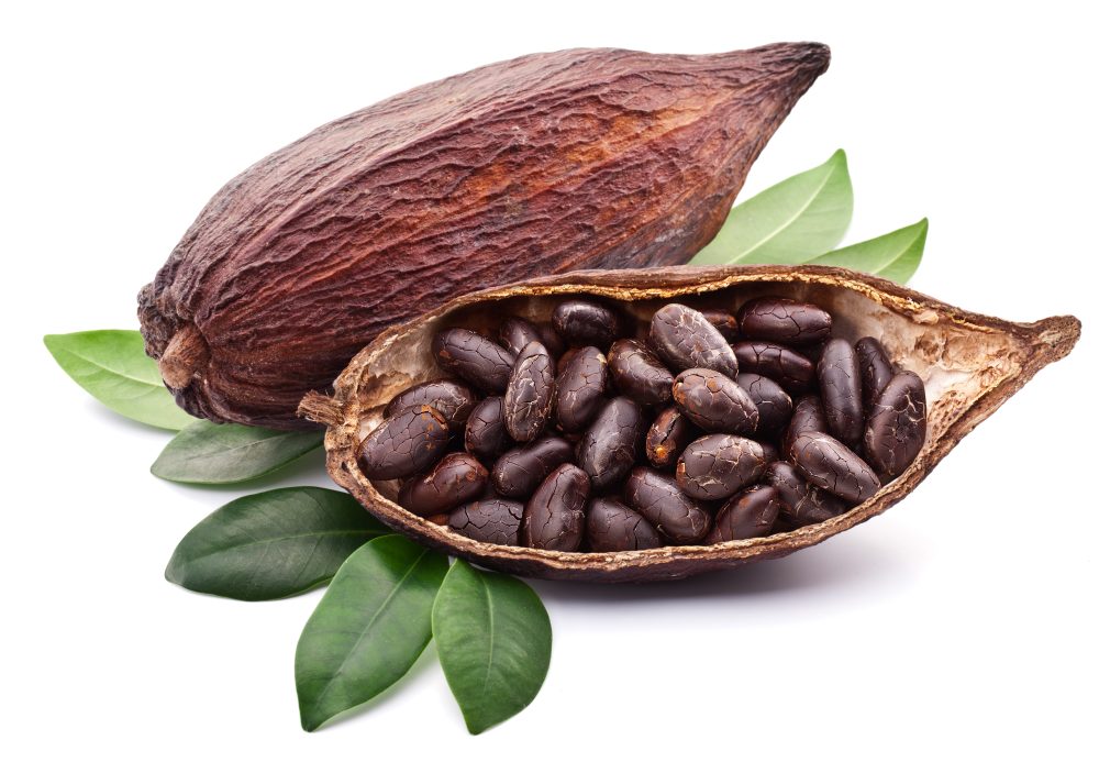 Cocoa pod with beans 