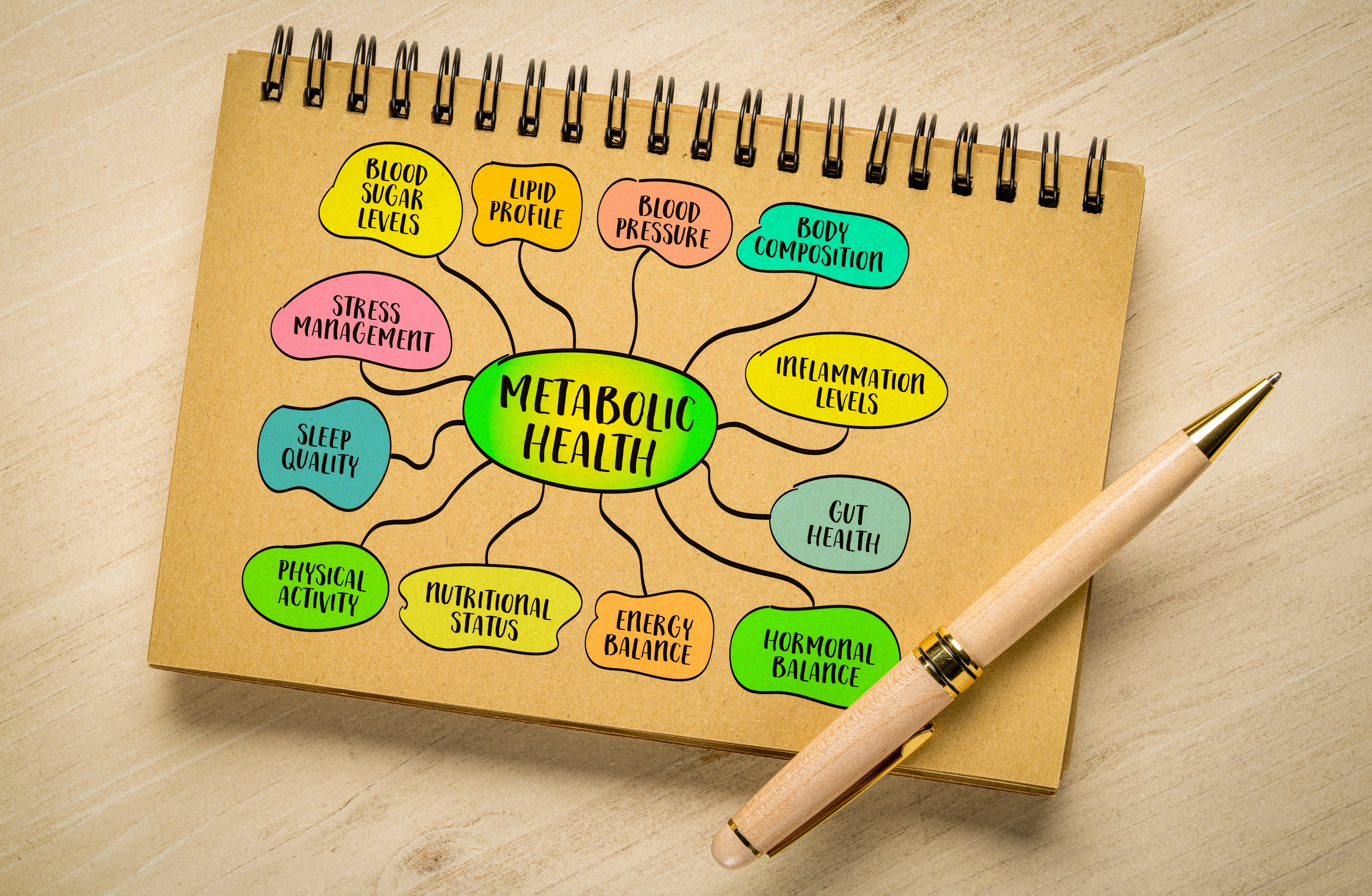 Metabolic health concept 