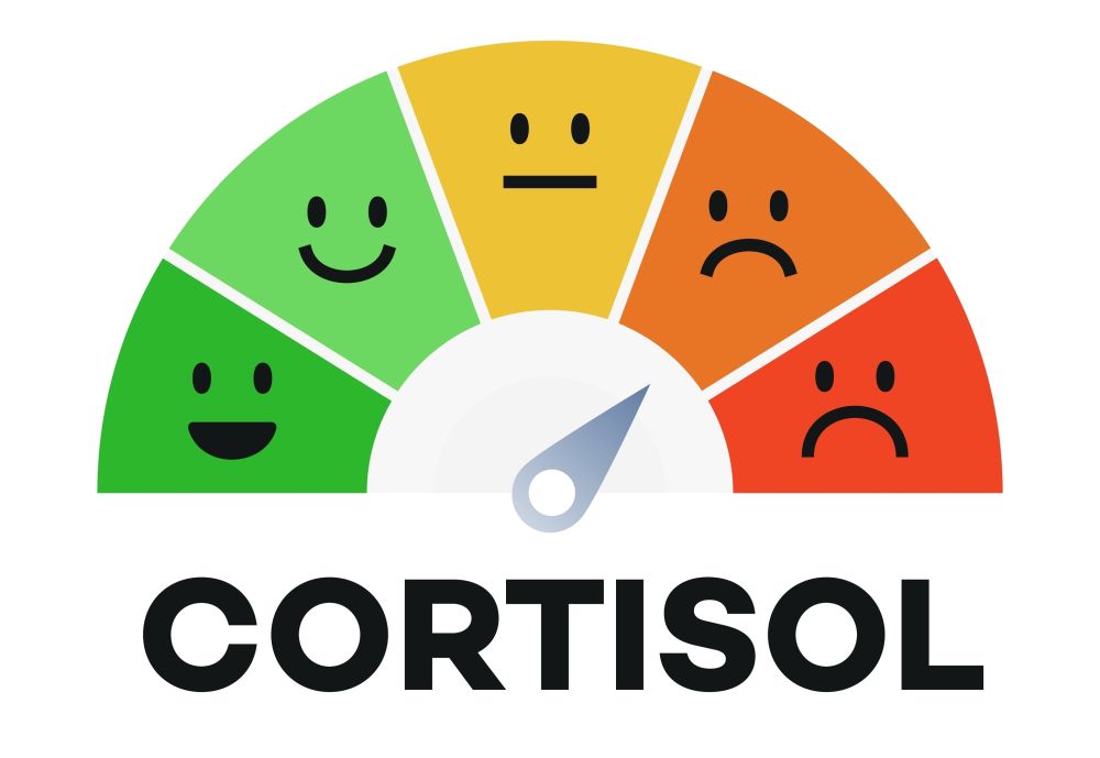 Cortisol concept 