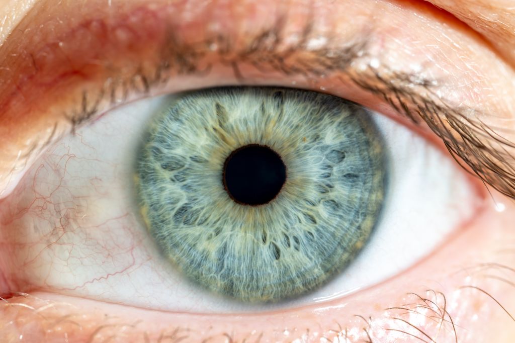 Close shot of eye 