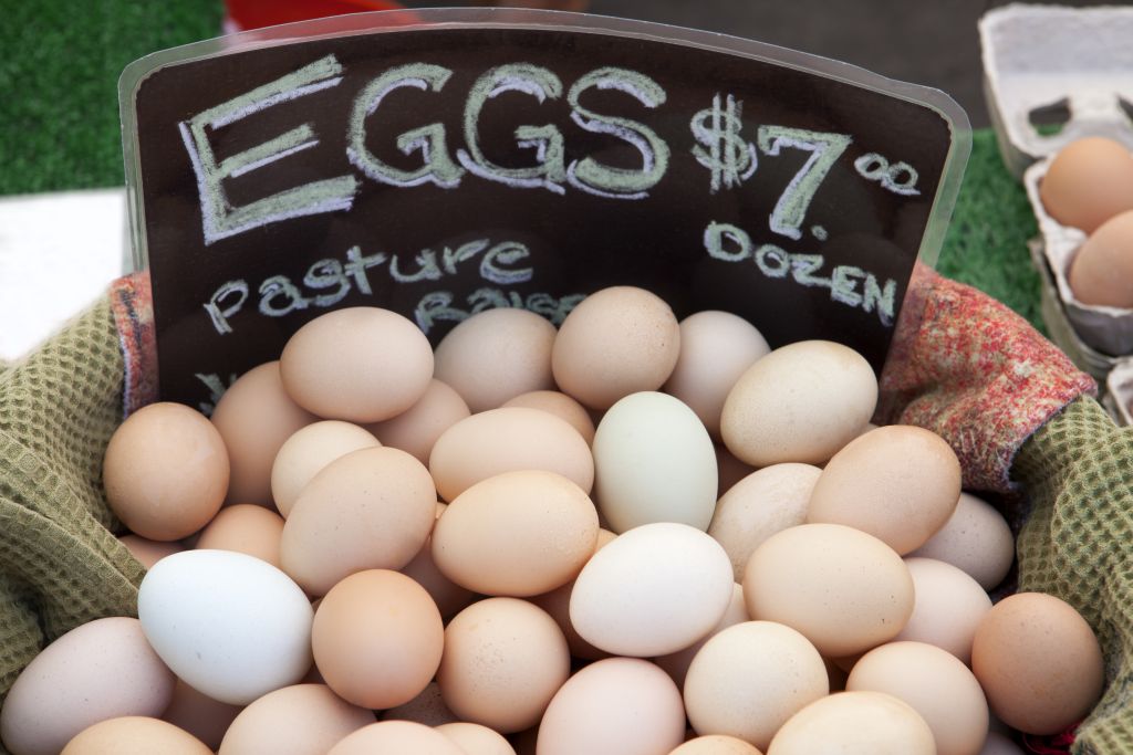 Pasture-raised eggs