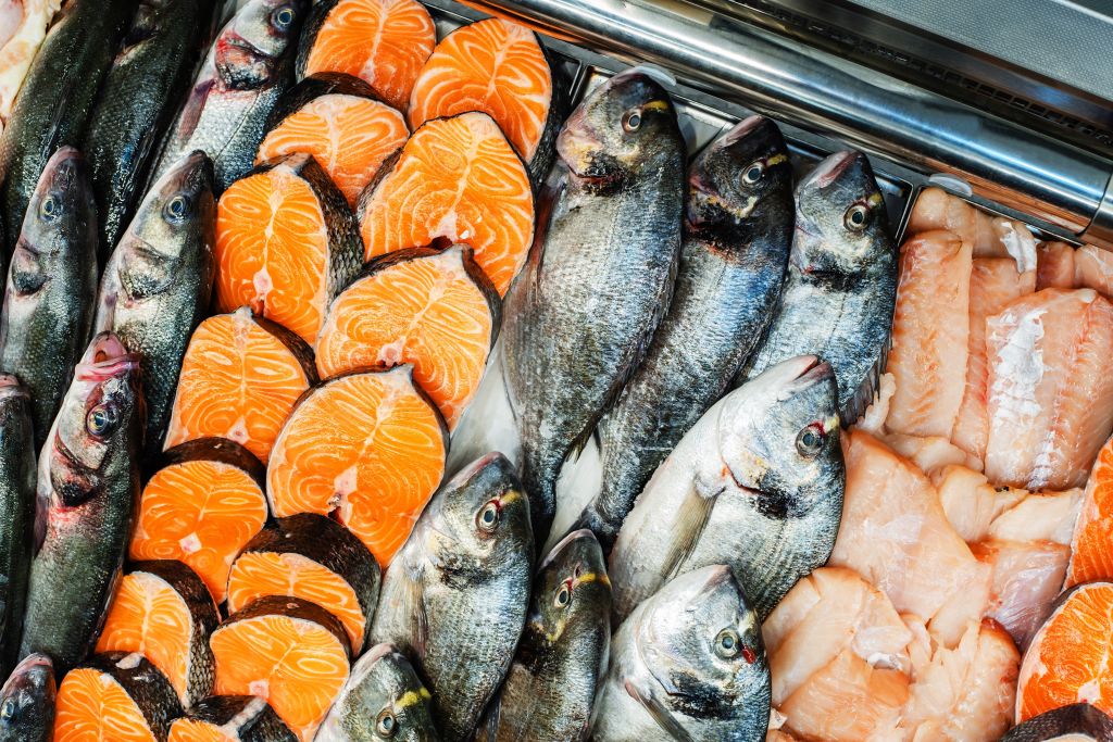 Fish counter