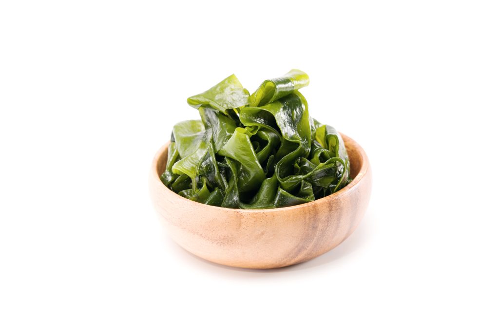 Sea kelp 