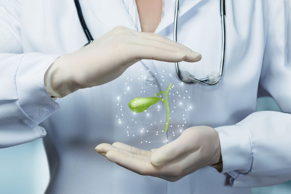 Gallbladder concept  