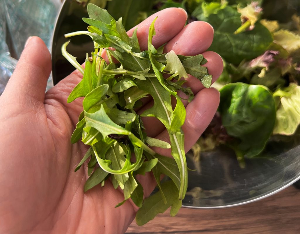 Benefits of Arugula