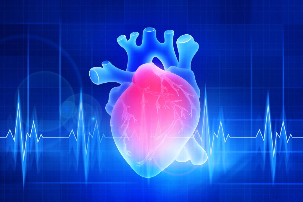 Heart health concept