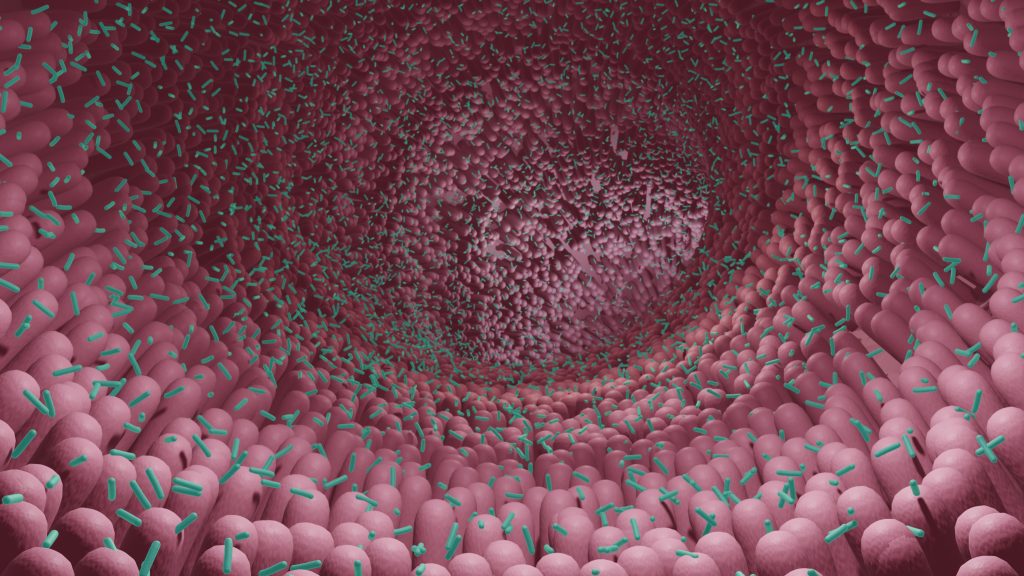 Gut microbiome illustration