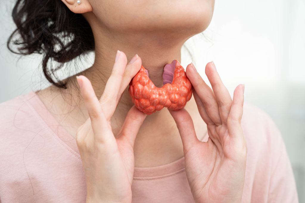 Thyroid gland illustration   