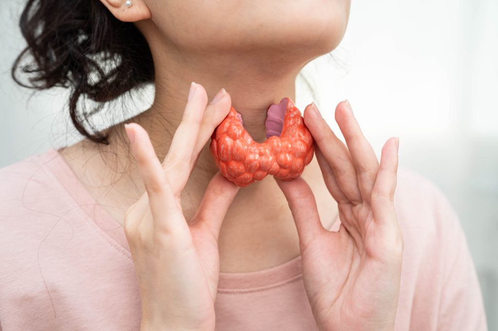 Thyroid gland illustration