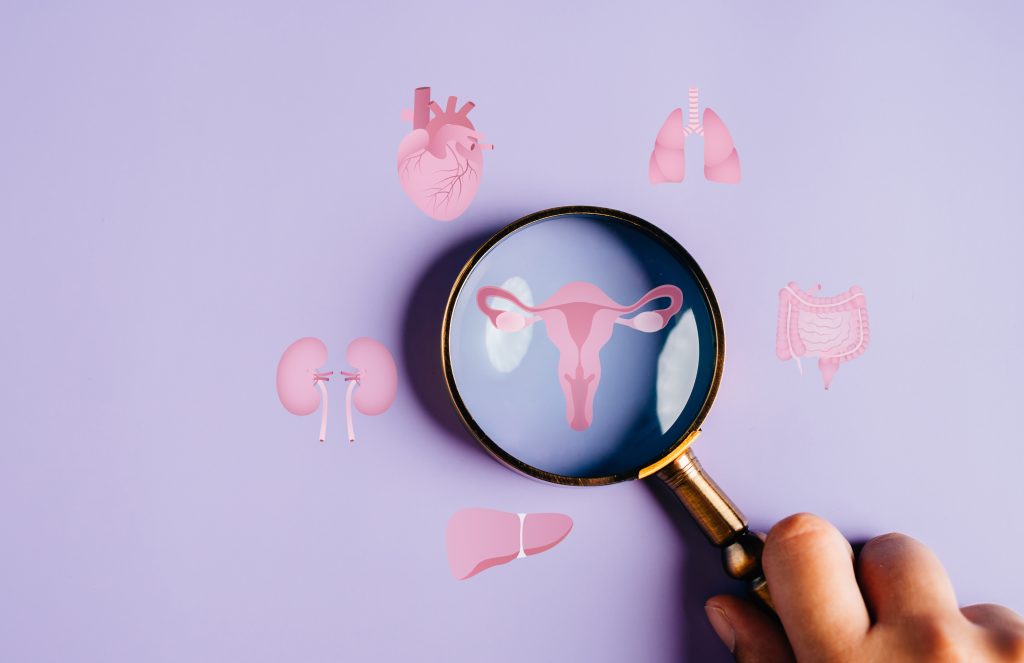 Female health concept