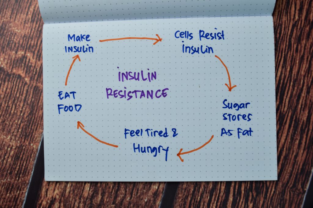 cycle of insulin resistance