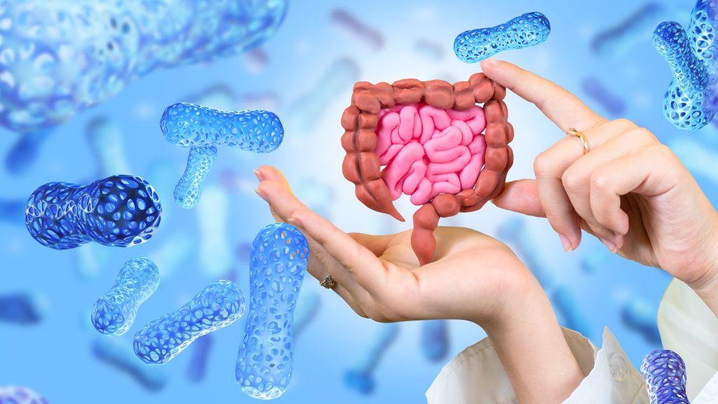 Gut immune system concept