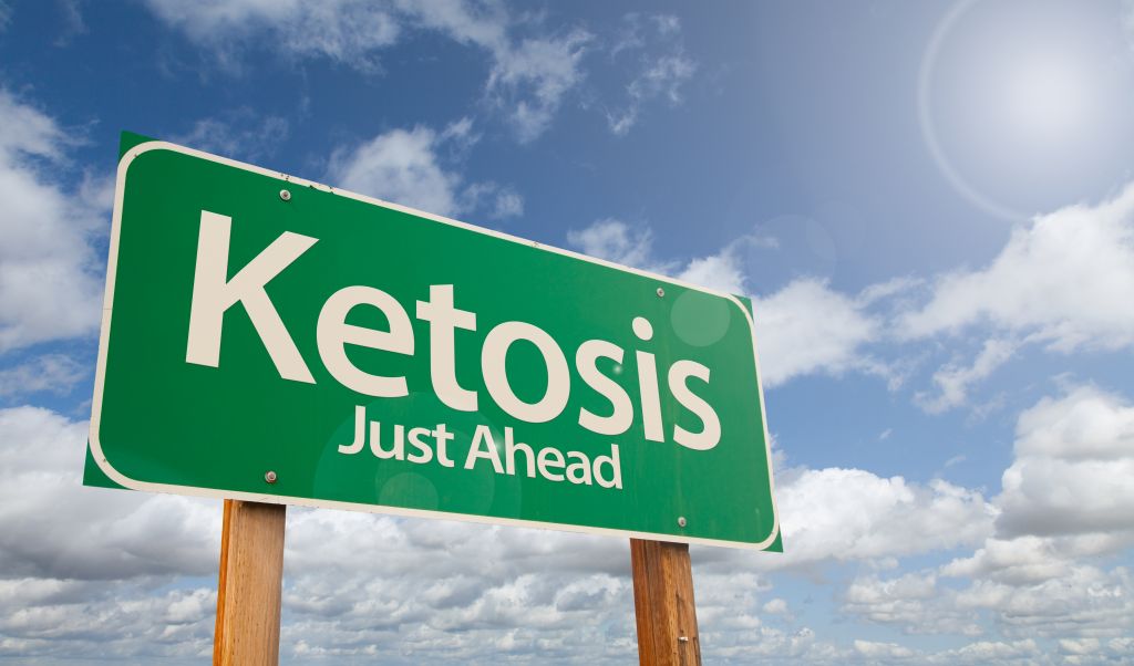 Ketosis concept