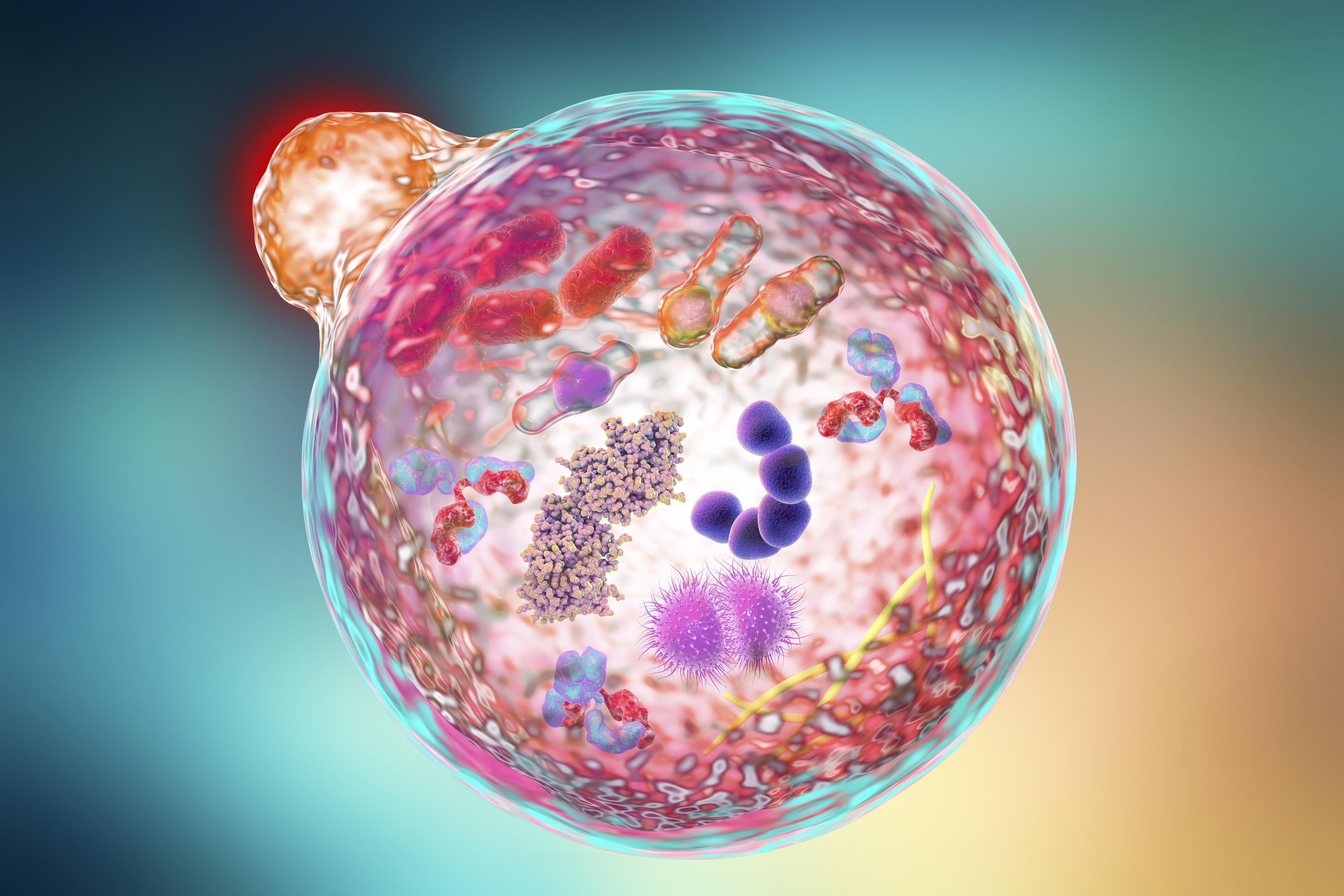 Cell illustration 