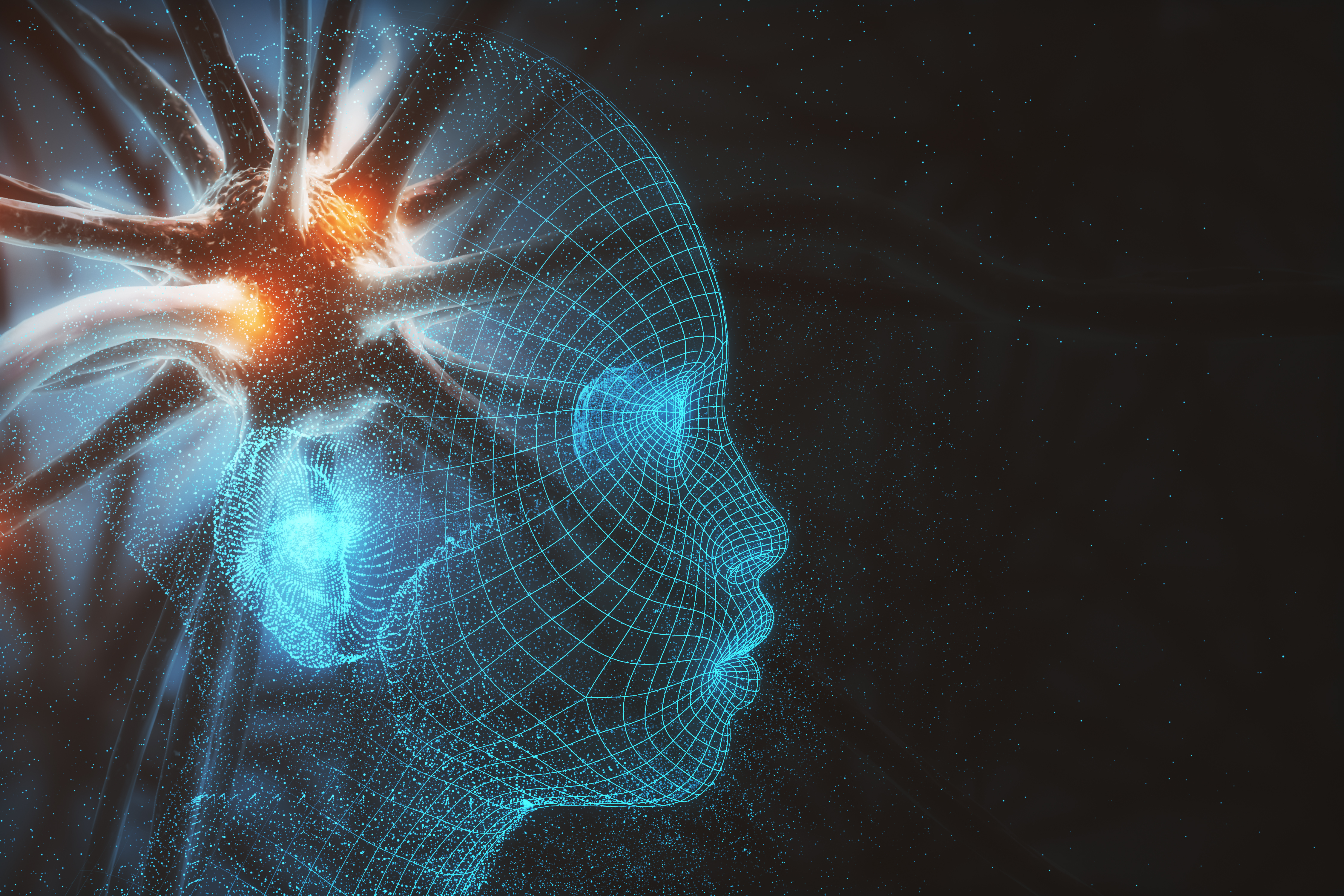 Nervous system regulation  