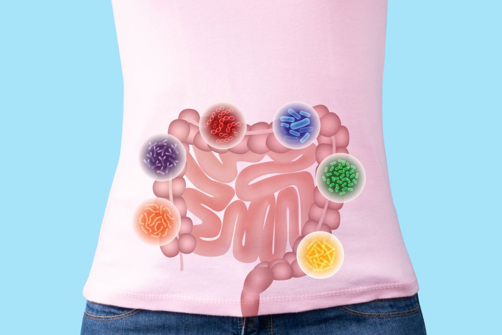 Gut microbe illustration 