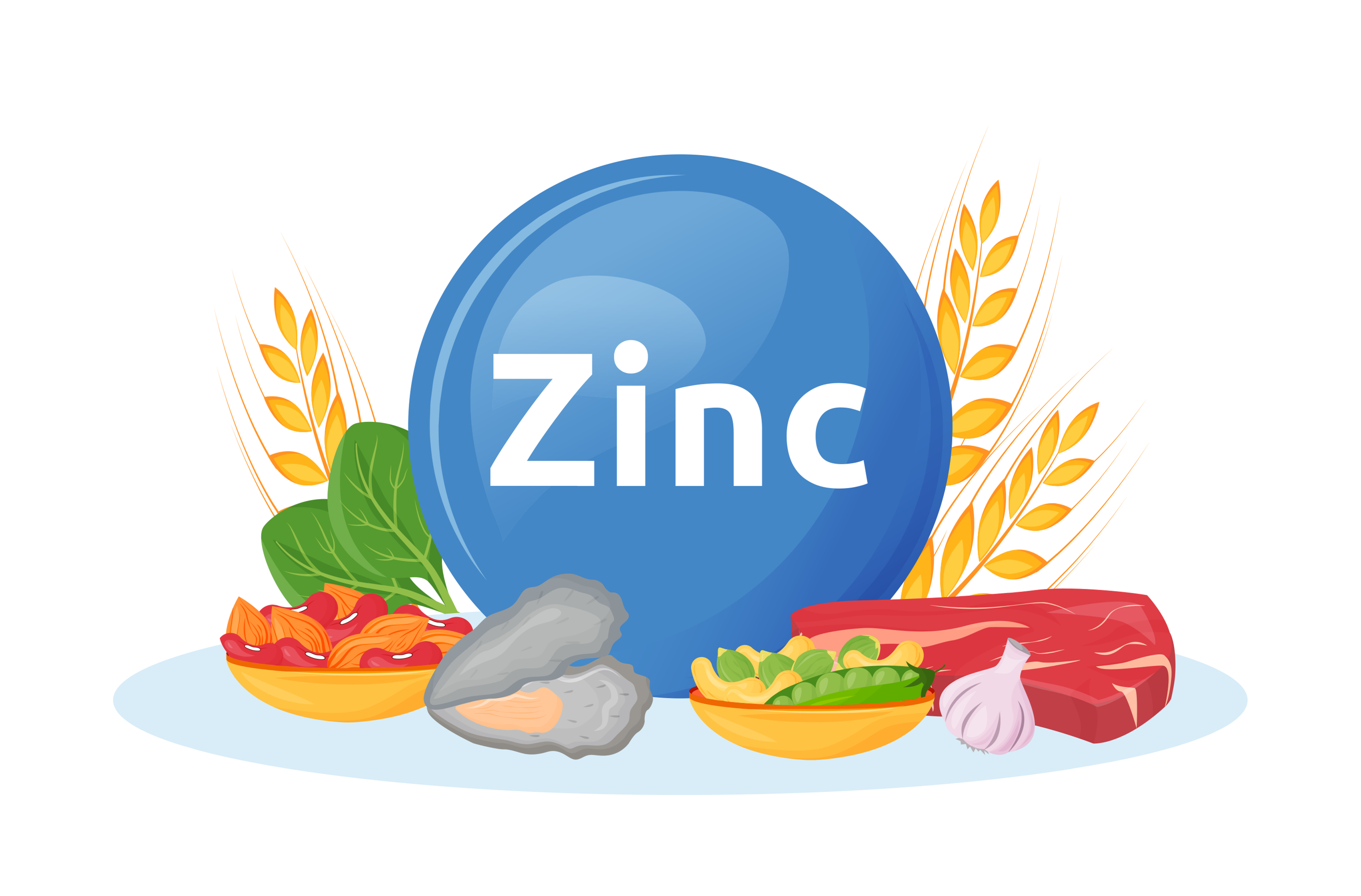 Zinc-rich foods illustration   