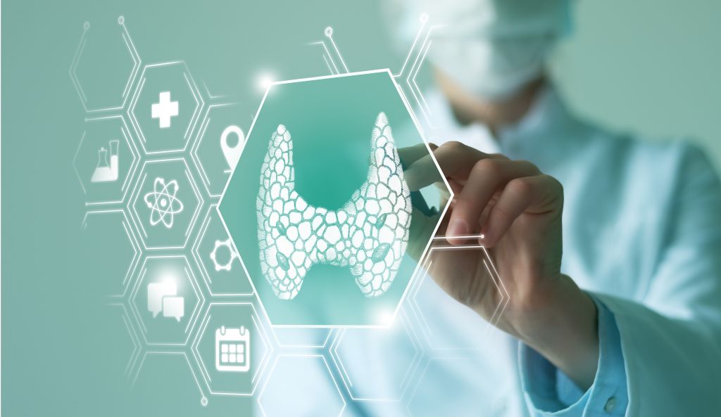Thyroid illustration