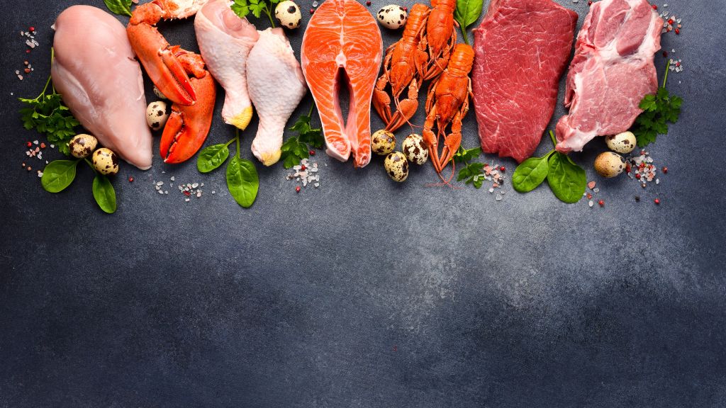 Selection of protein sources 