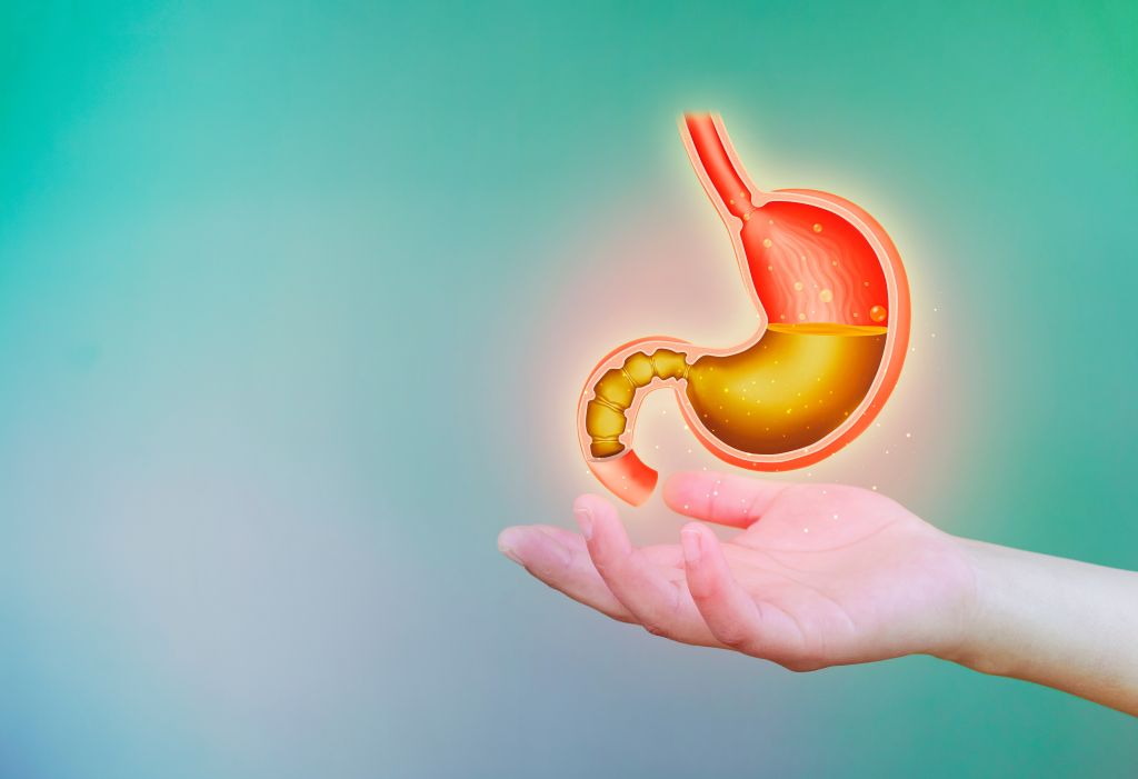 Stomach acid illustration
