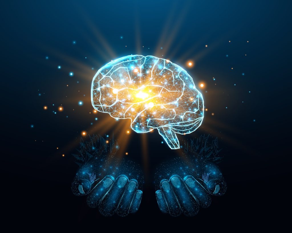 Human brain illustration