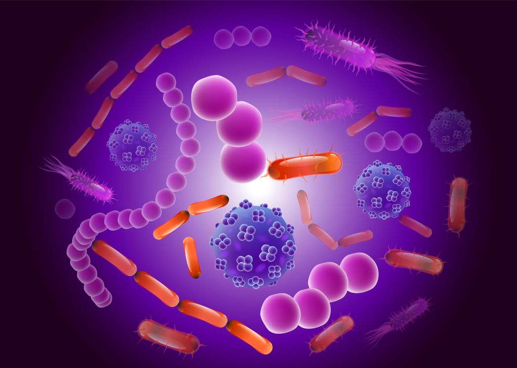 Different microbes 