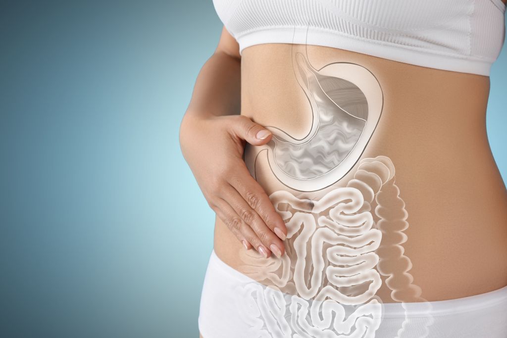 Digestive health concept 