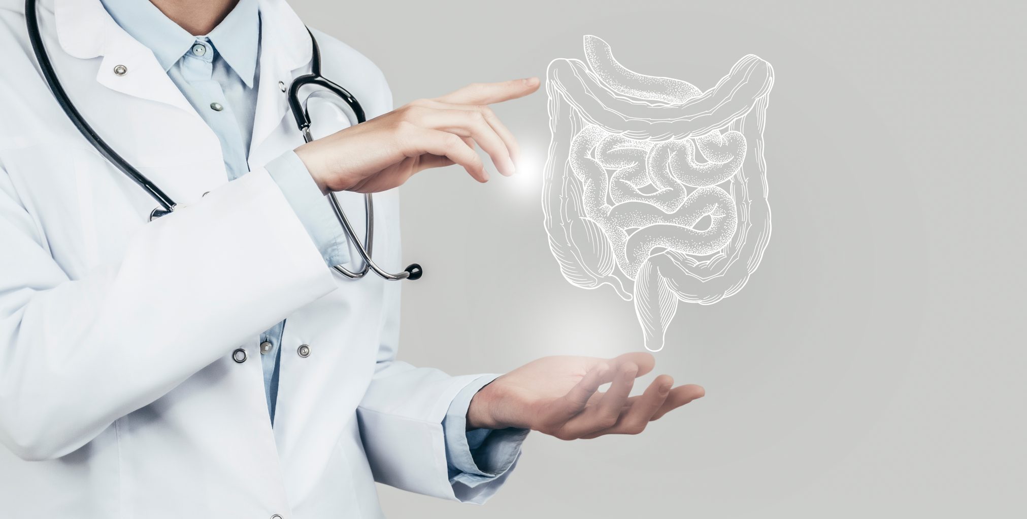 Intestinal health concept 