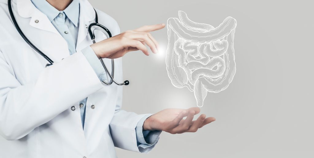 Intestinal health concept