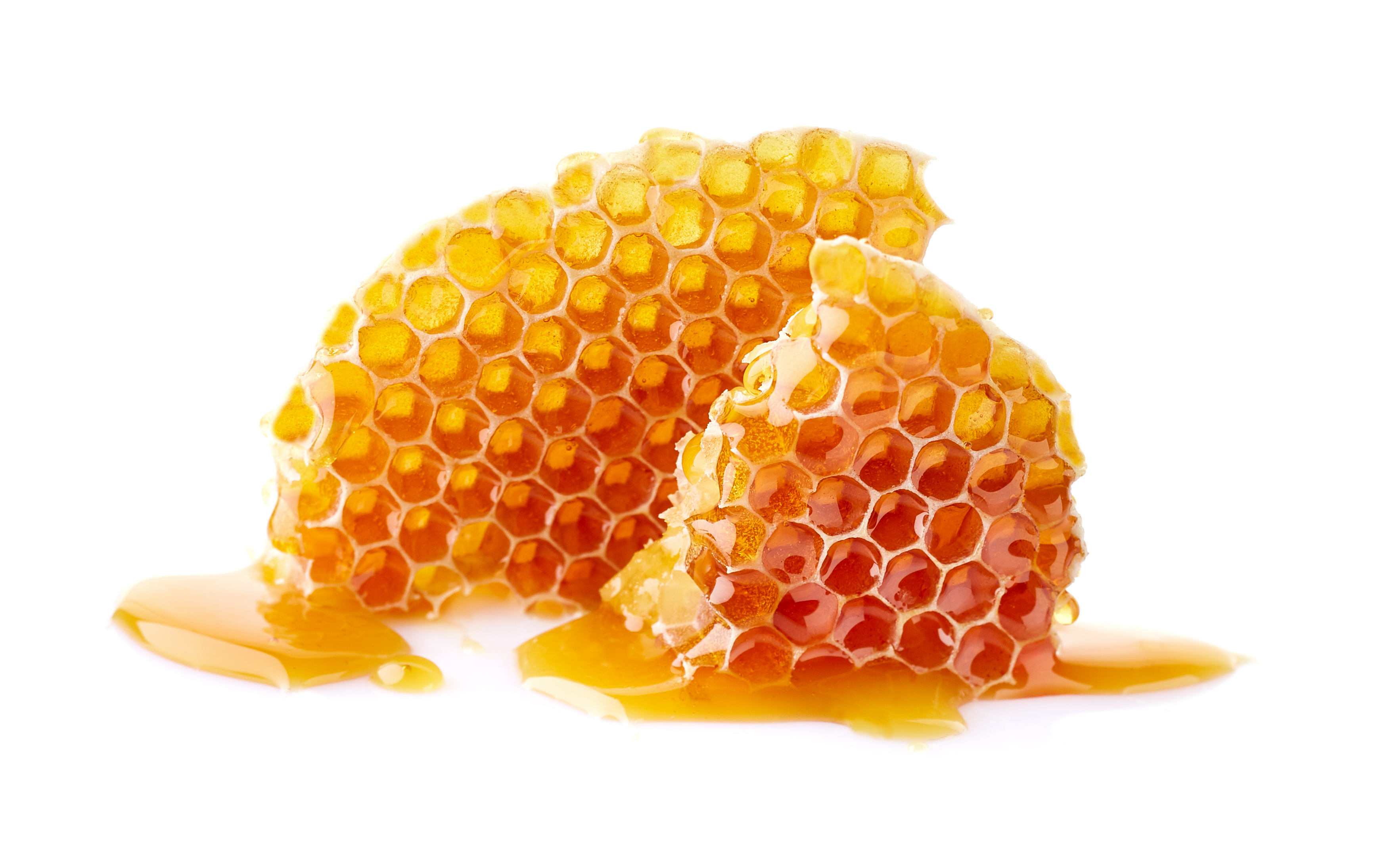 Honeycomb 