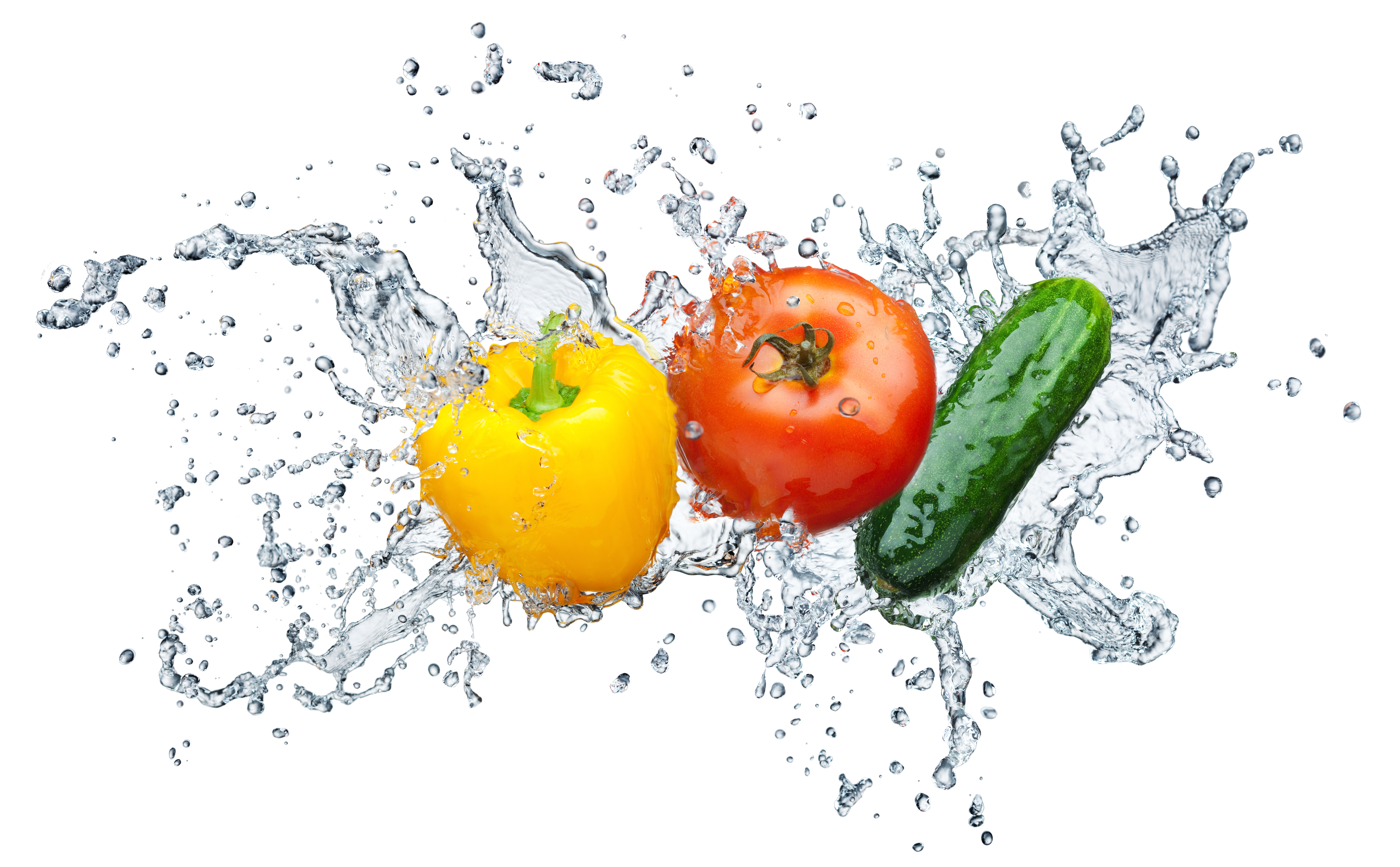  Fiber and water