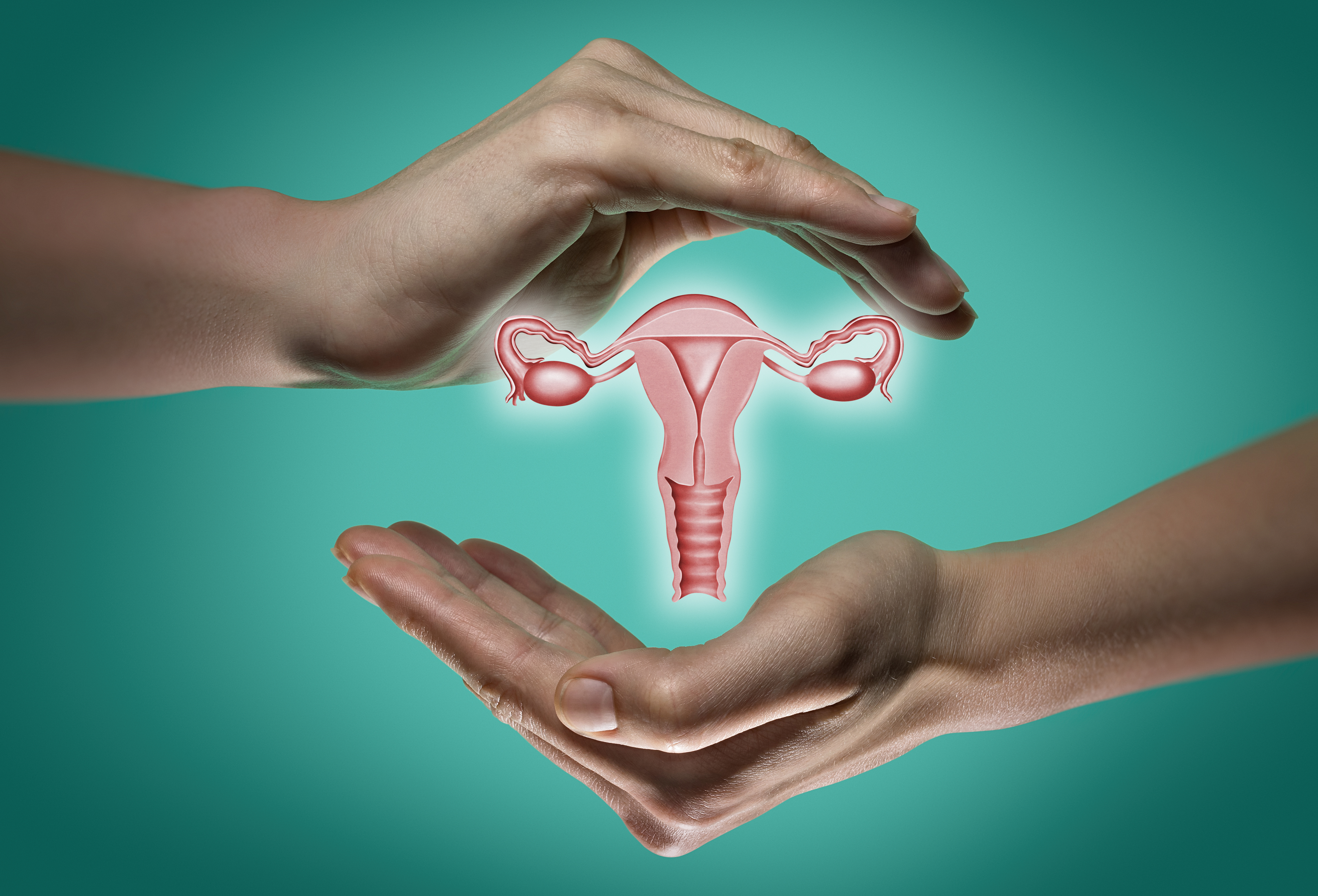 Female reproductive system   