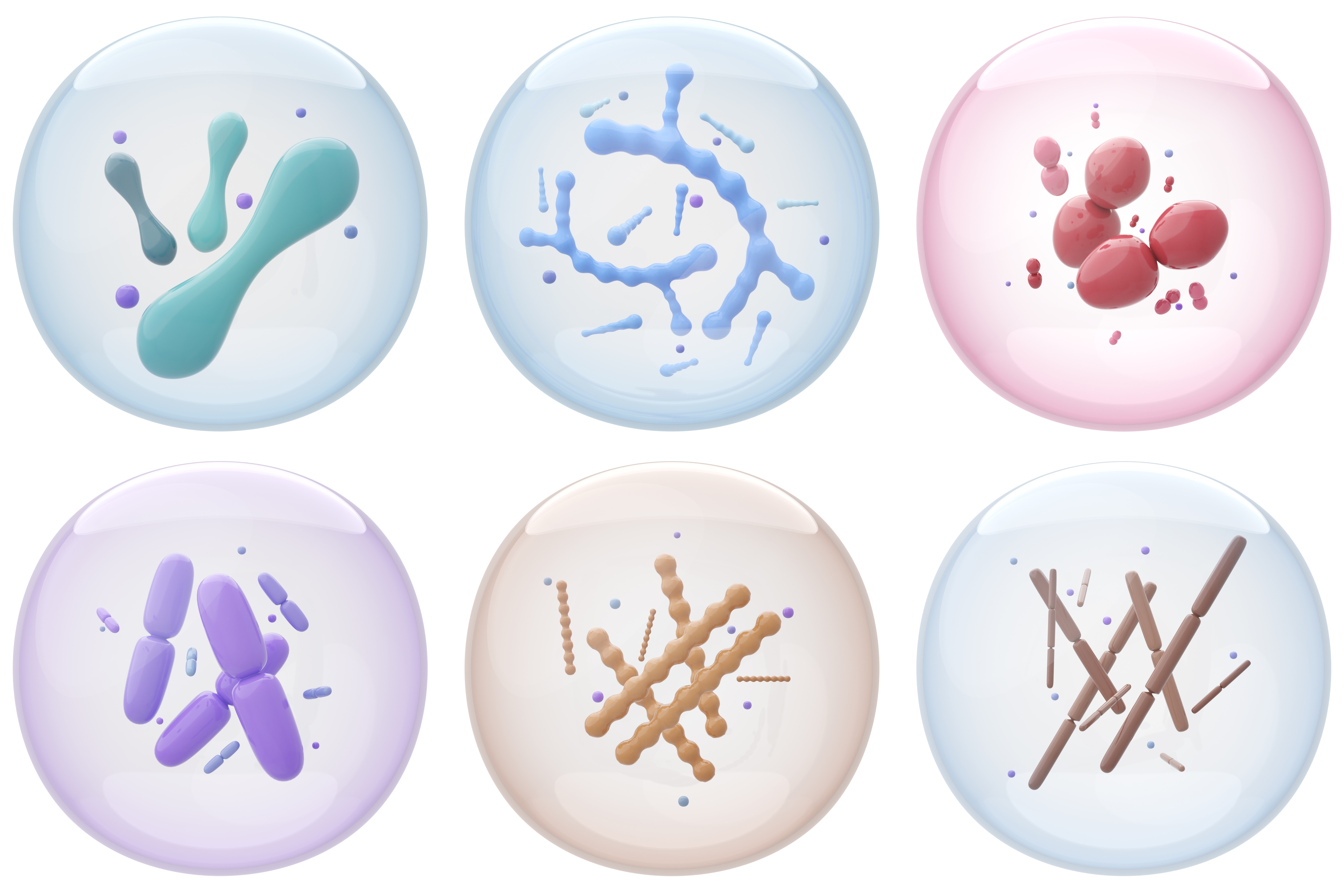 Various probiotic strains  