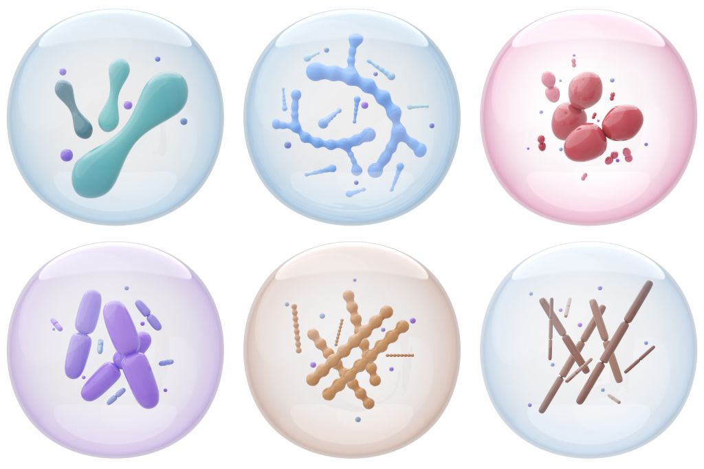 Various probiotic strains