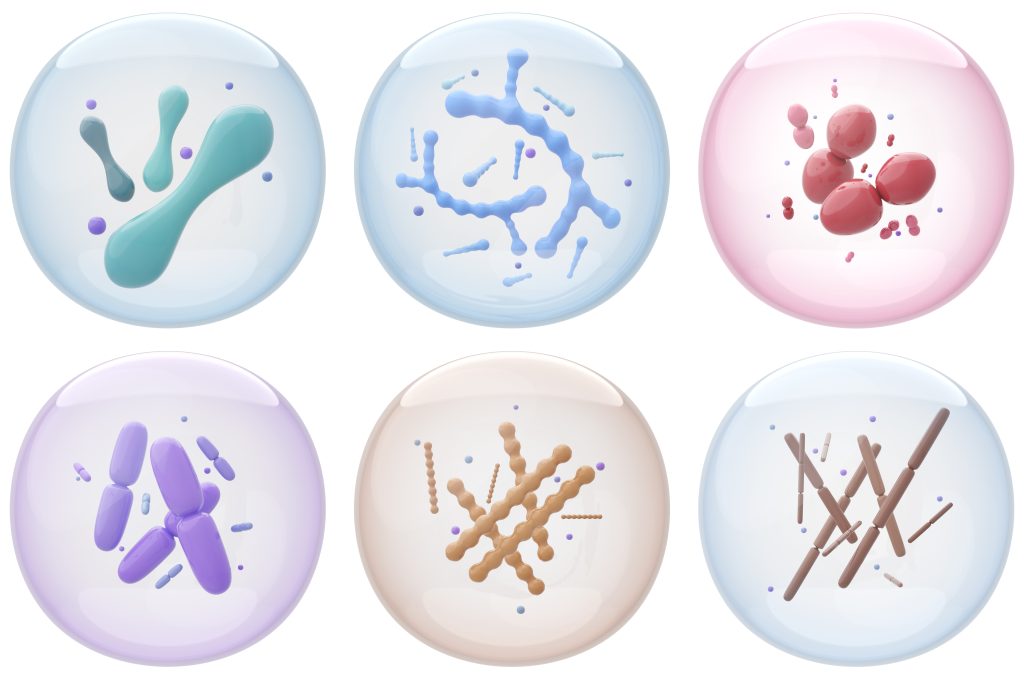 Various probiotic strains