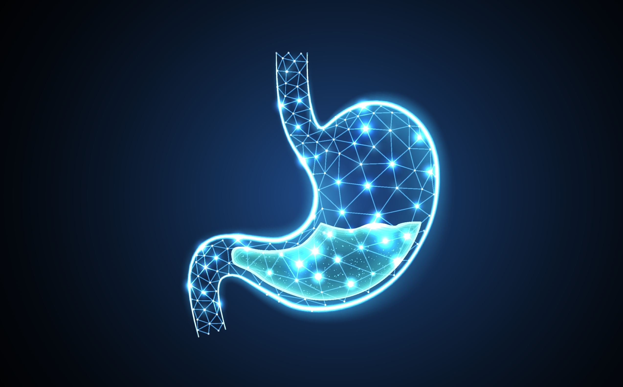 Stomach acid concept 