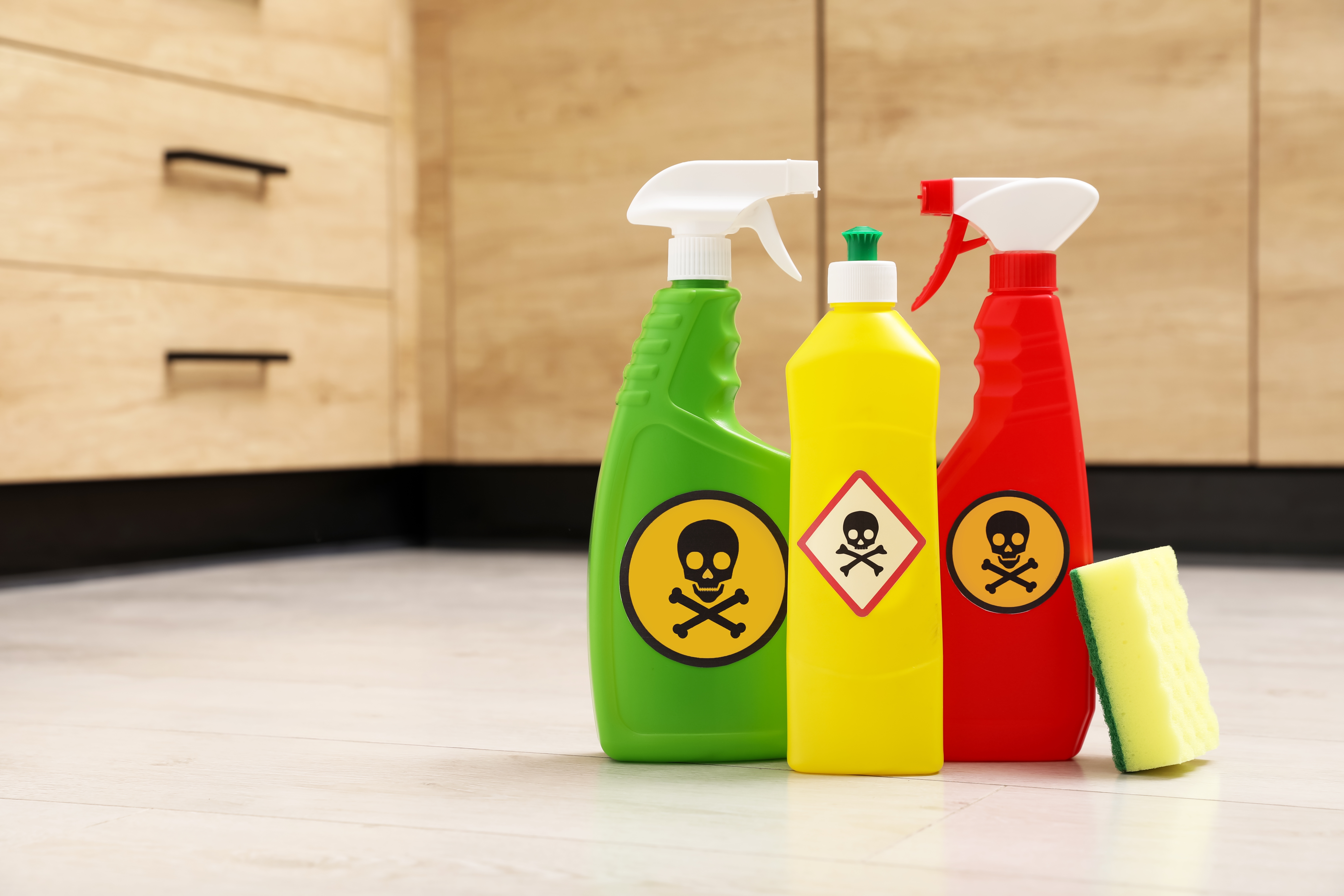 Household toxins endocrine disrupting products