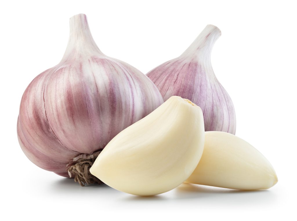 Garlic bulbs and cloves